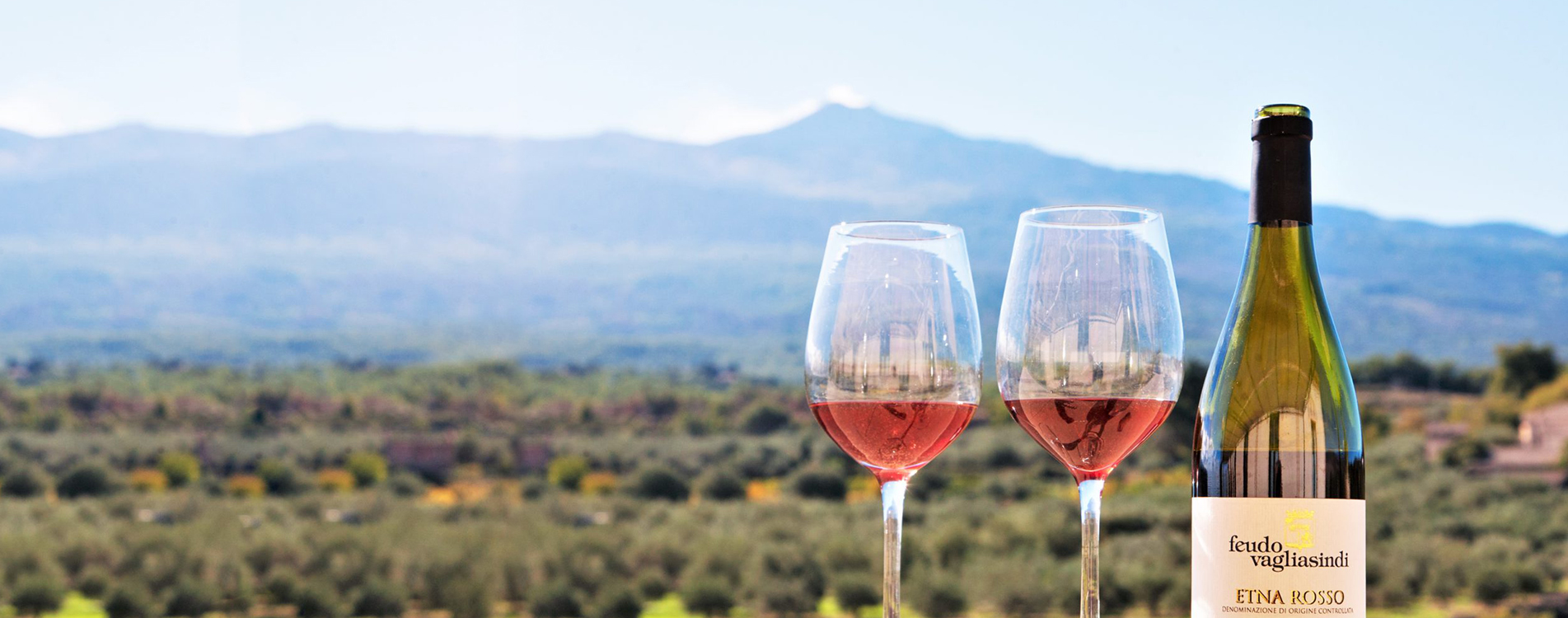 The Wine Enjoying<span>Passion</span>